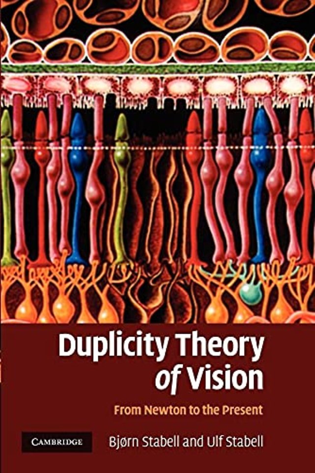 Duplicity Theory of Vision
