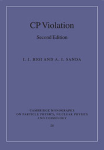 CP Violation