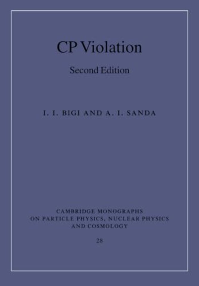 CP Violation