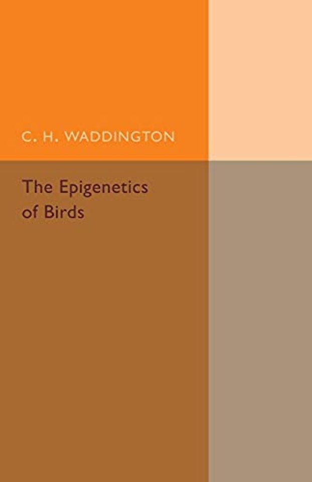 The Epigenetics of Birds
