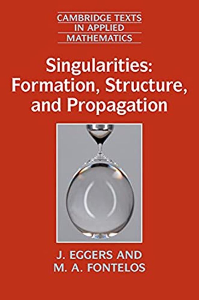 Singularities: Formation, Structure, and Propagation