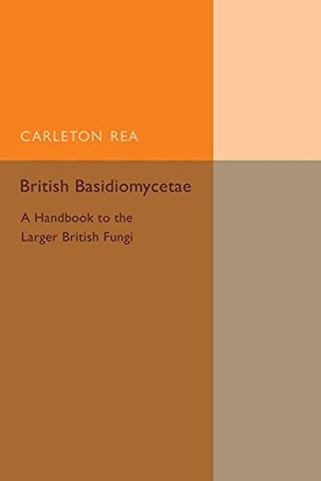 British Basidiomycetae