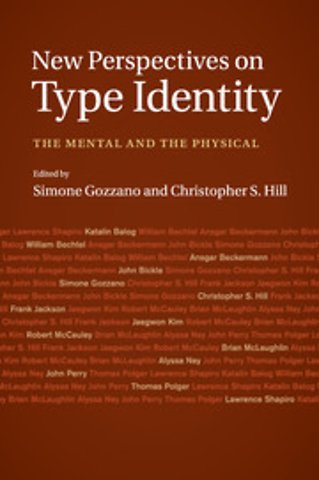 New Perspectives on Type Identity