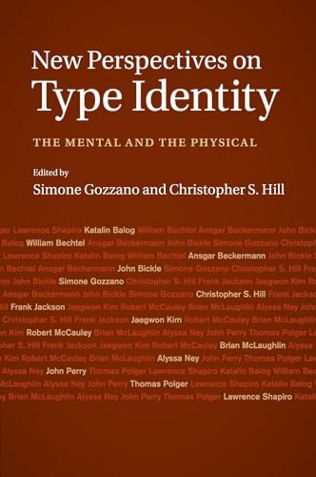 New Perspectives on Type Identity