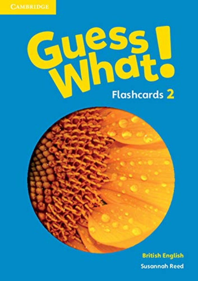 Guess What! Level 2 Flashcards (pack of 91) British English