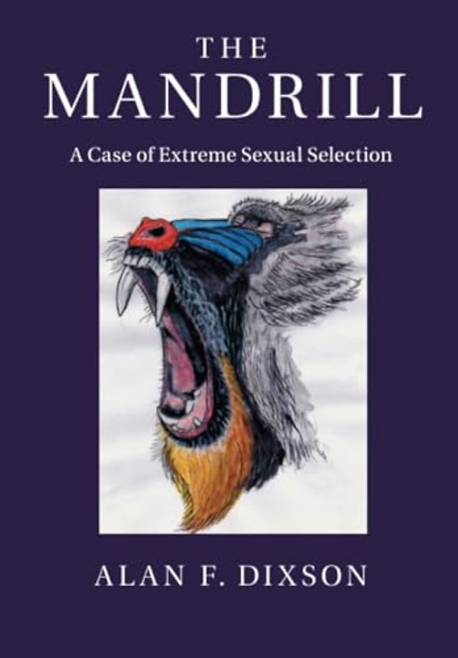 The Mandrill
