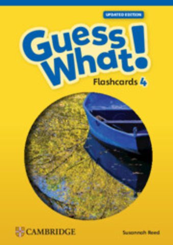 Guess What! Level 4 Flashcards (88) British English