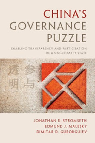 China's Governance Puzzle