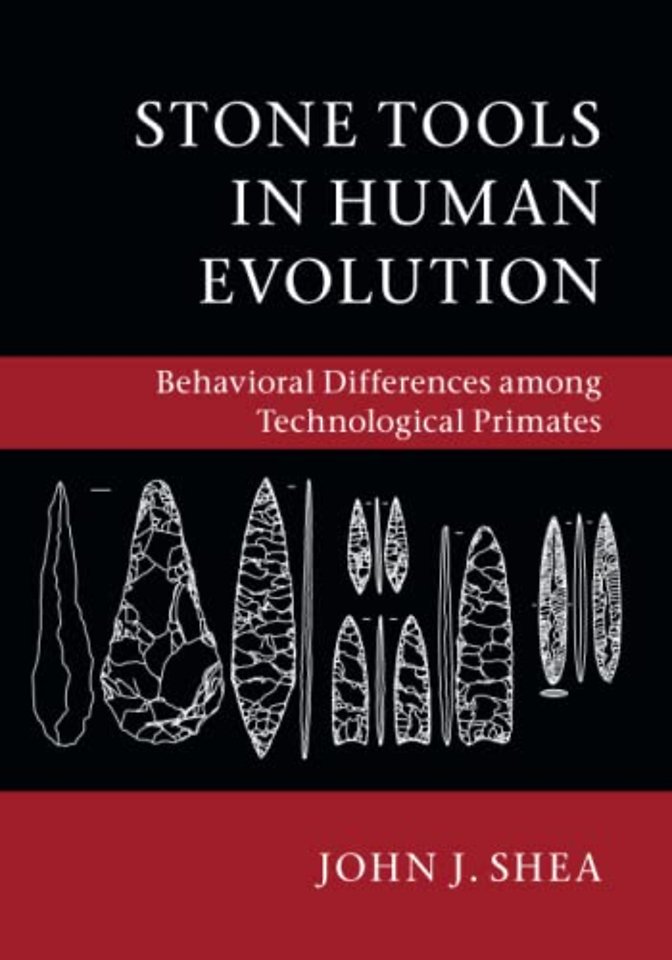 Stone Tools in Human Evolution