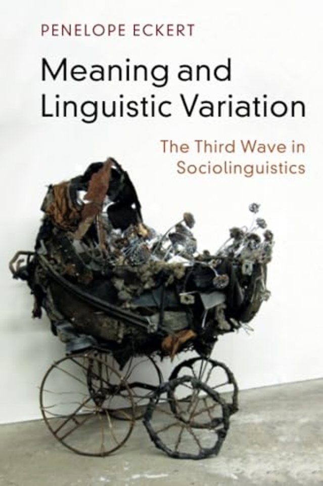 Meaning and Linguistic Variation