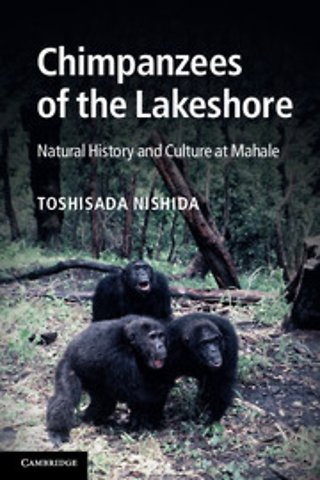 Chimpanzees of the Lakeshore