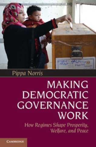 Making Democratic Governance Work