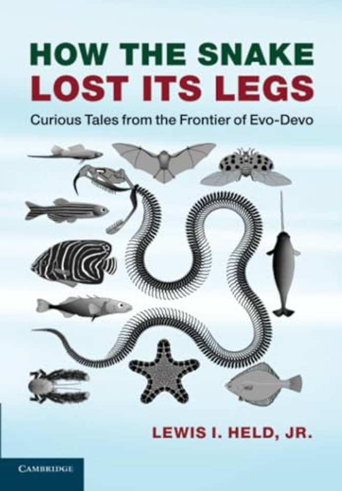 How the Snake Lost its Legs