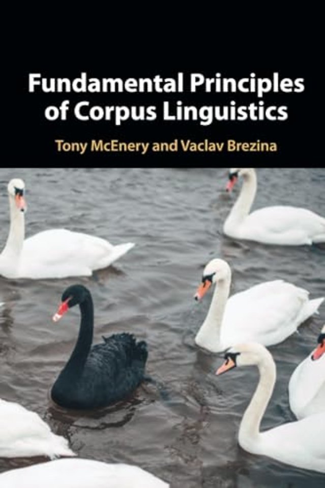 Fundamental Principles of Corpus Linguistics