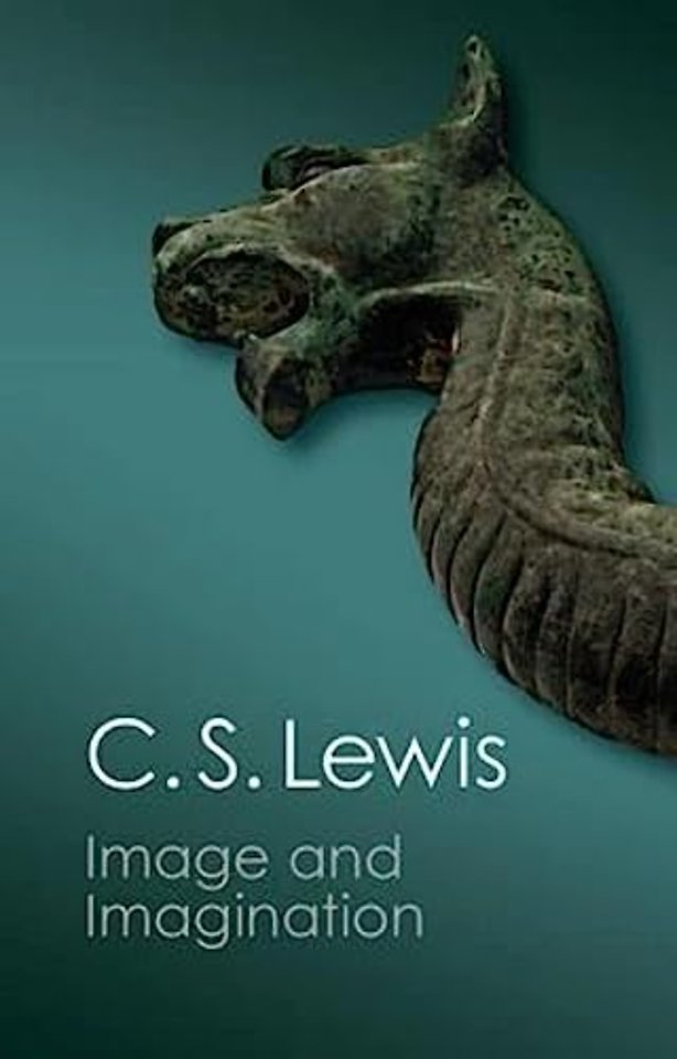 Image and Imagination