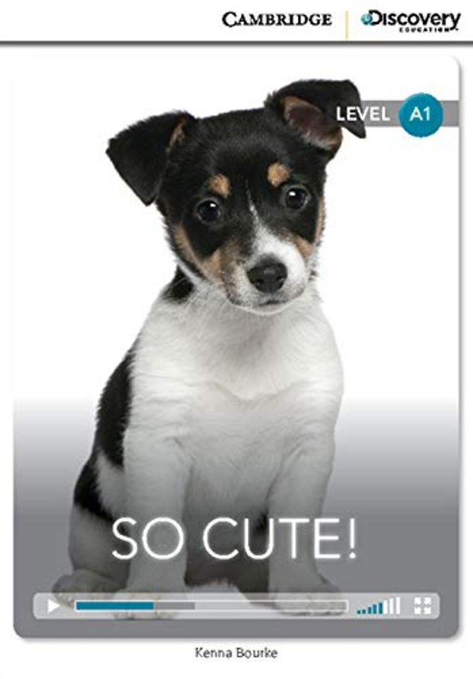 So Cute! Beginning Book with Online Access