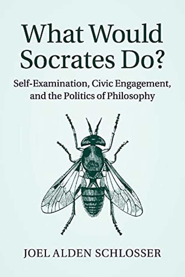 What Would Socrates Do?