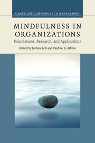 Mindfulness in Organizations