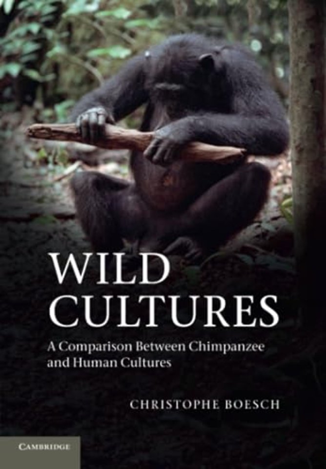 Wild Cultures