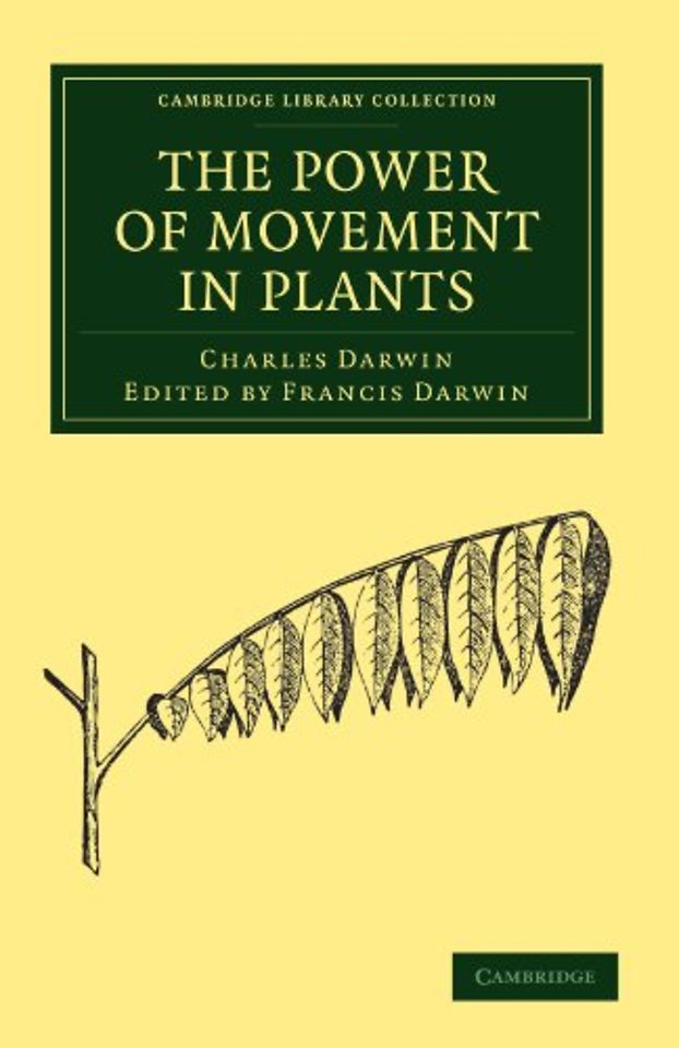 The Power of Movement in Plants