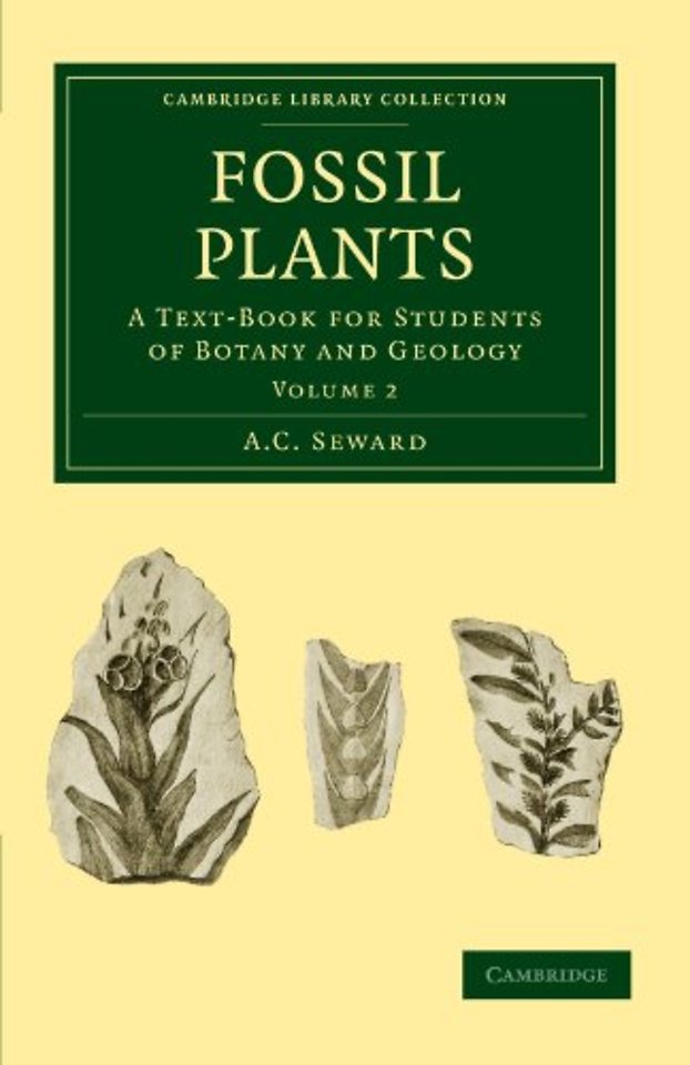 Fossil Plants