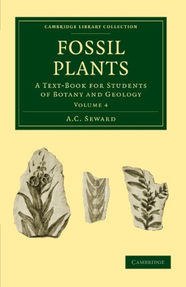 Fossil Plants