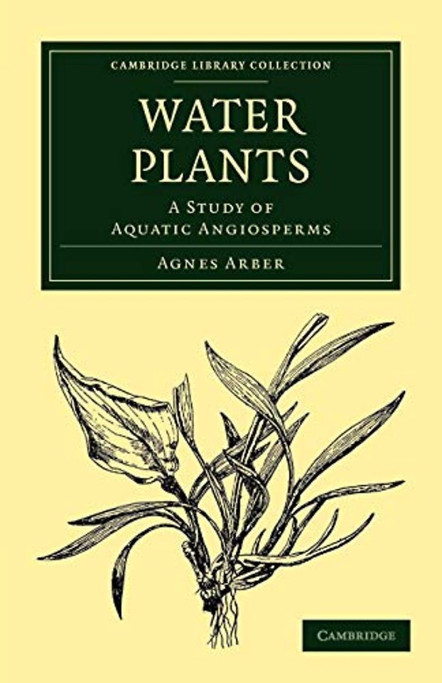 Water Plants