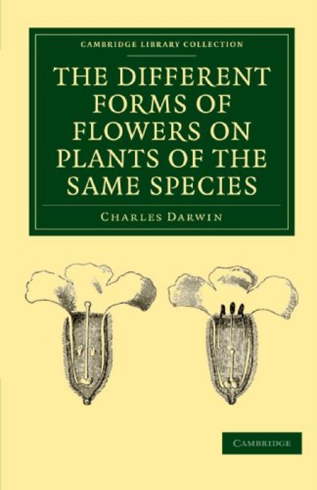 The Different Forms of Flowers on Plants of the Same Species