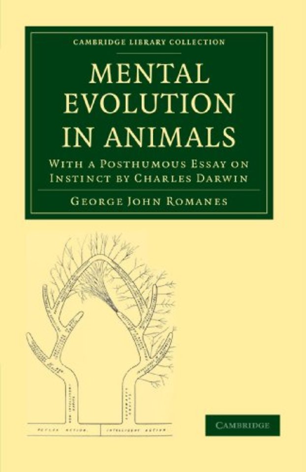 Mental Evolution in Animals
