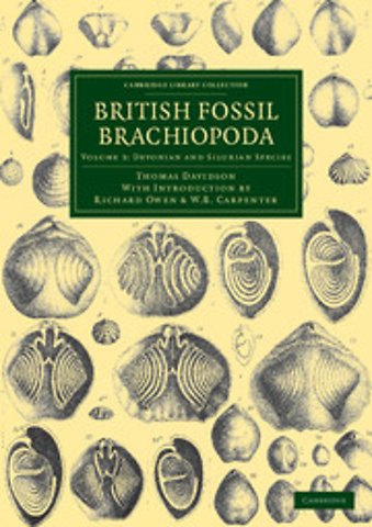 British Fossil Brachiopoda