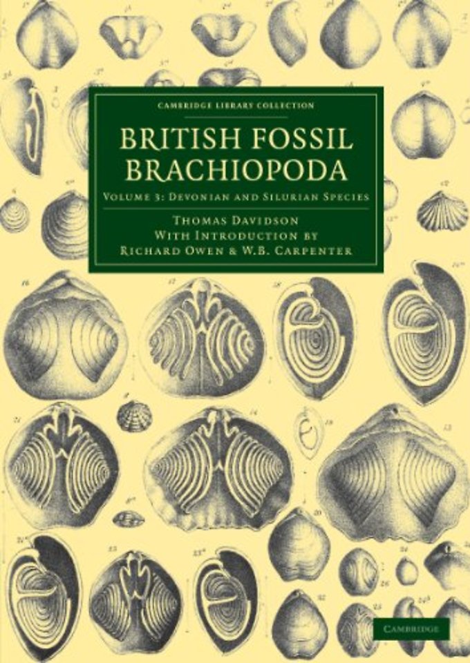 British Fossil Brachiopoda