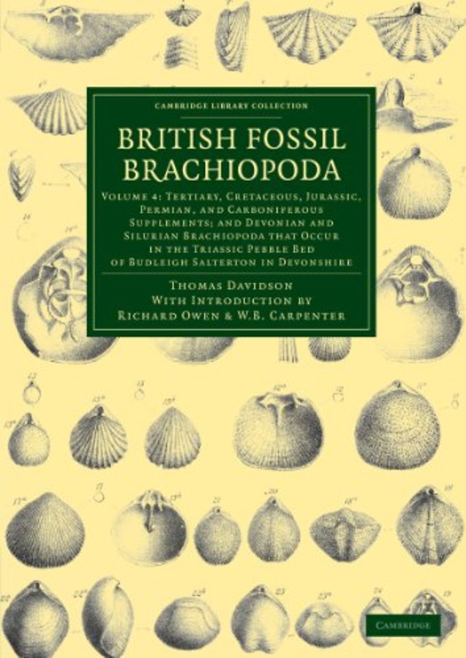 British Fossil Brachiopoda