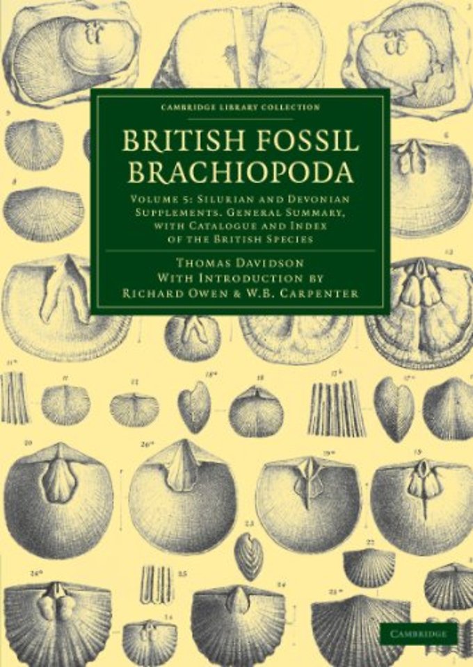 British Fossil Brachiopoda