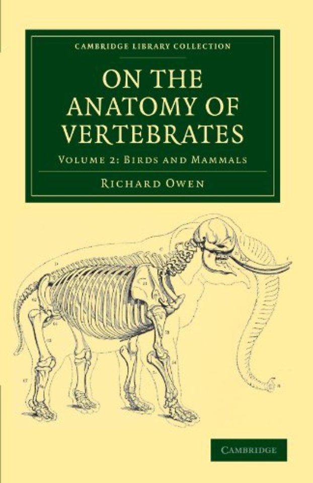 On the Anatomy of Vertebrates