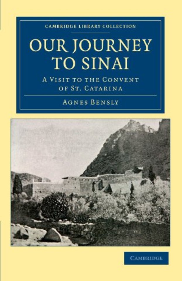 Our Journey to Sinai