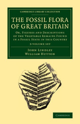 The Fossil Flora of Great Britain 3 Volume Set