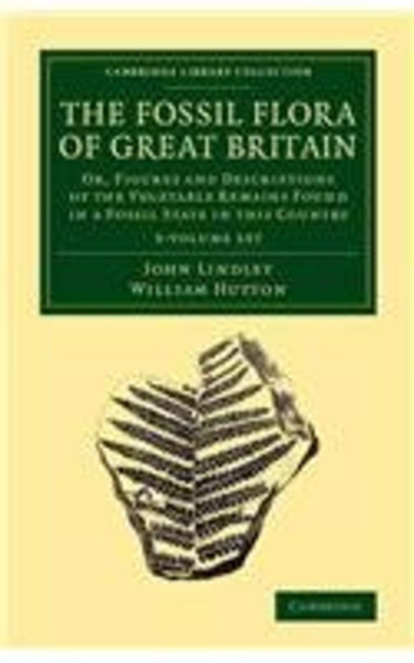 The Fossil Flora of Great Britain 3 Volume Set