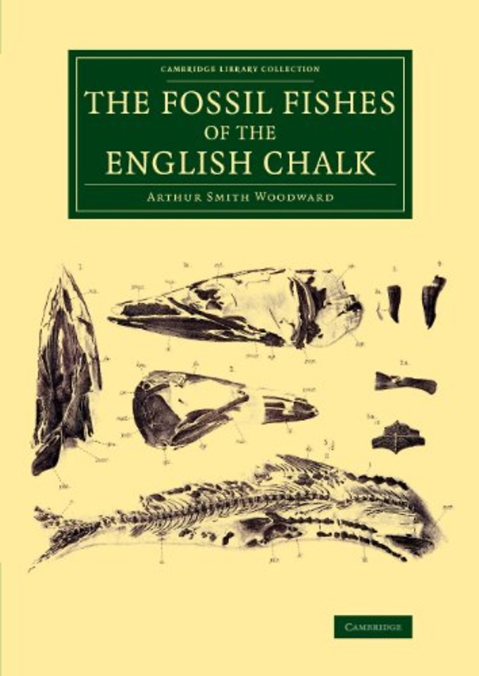 The Fossil Fishes of the English Chalk