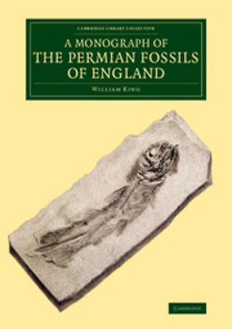 A Monograph of the Permian Fossils of England