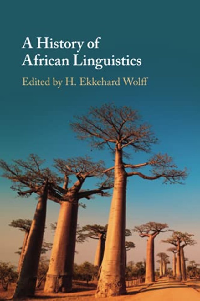 A History of African Linguistics