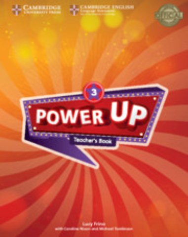 Power Up Level 3 Teacher's Book