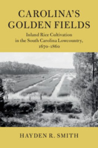 Carolina's Golden Fields
