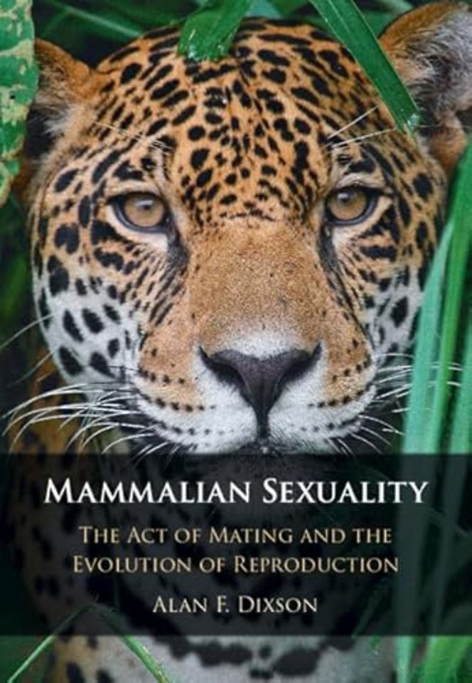 Mammalian Sexuality
