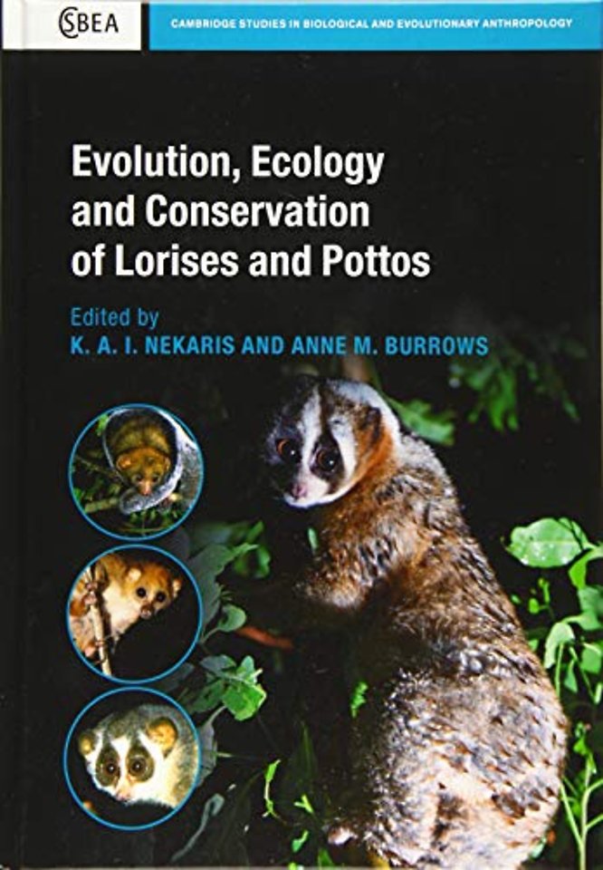 Evolution, Ecology and Conservation of Lorises and Pottos