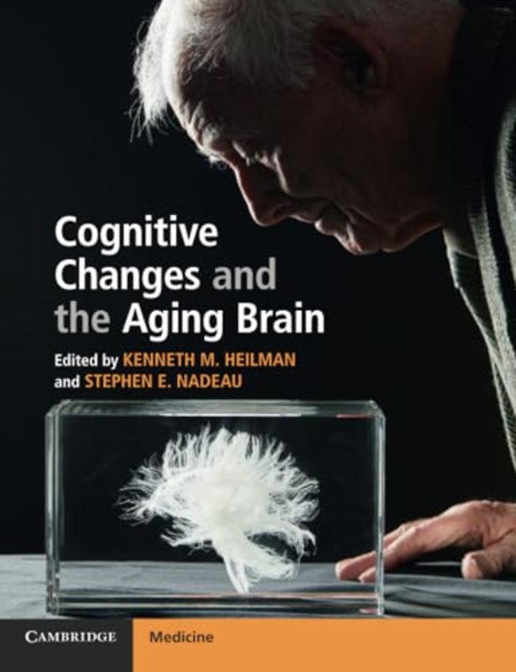 Cognitive Changes and the Aging Brain