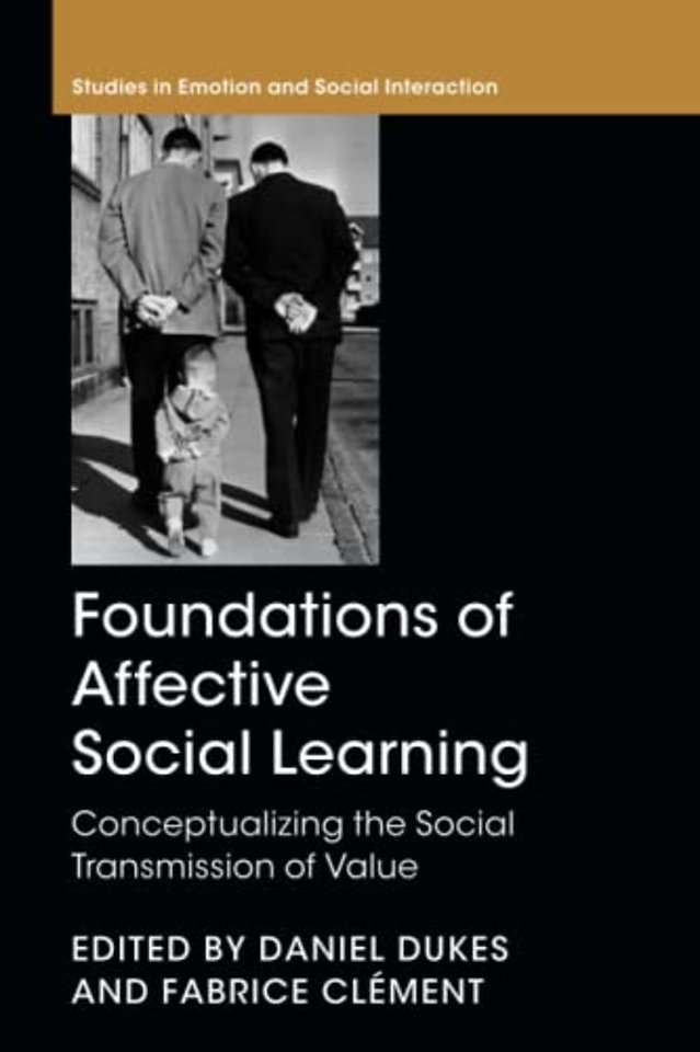 Foundations of Affective Social Learning