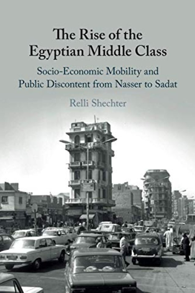 The Rise of the Egyptian Middle Class