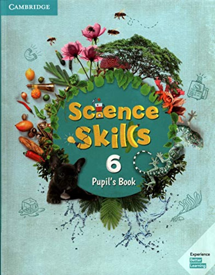 Science Skills Level 6 Pupil's Book