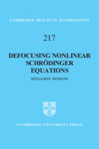Defocusing Nonlinear Schrödinger Equations