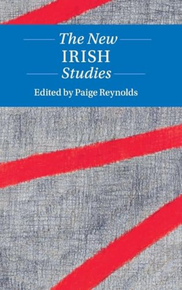 The New Irish Studies
